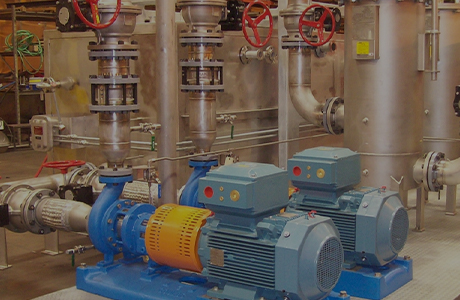 Bangpu Group överlämnade framgångsrikt det venezuelanska tekniköverföringsprojektet